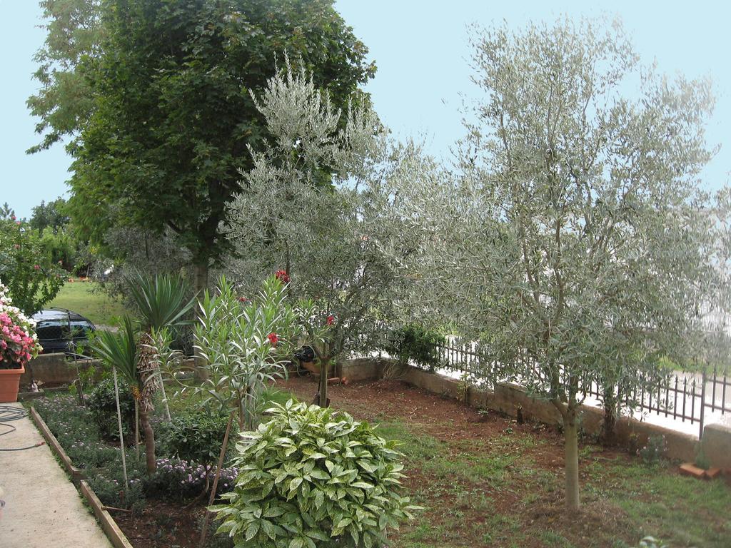 Apartman Adelita Porec