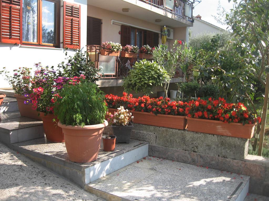 Apartman Adelita *
