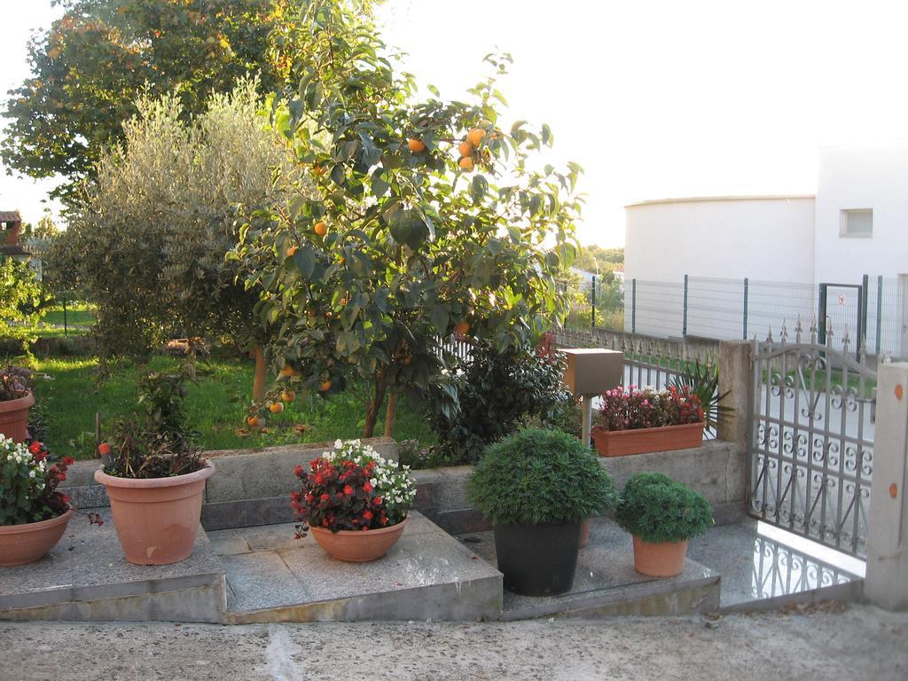 Apartman Adelita *